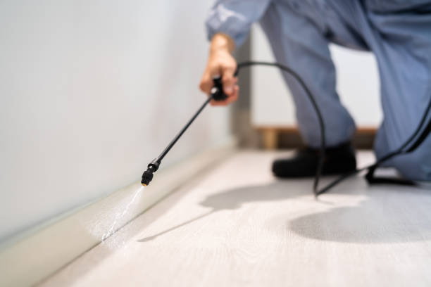 Licensed Pest Control service in Weatherby Lake, MO - Show Me Pest Control